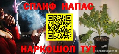 прущие грибы Канаш