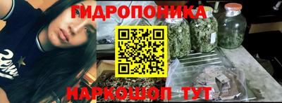 прущие грибы Канаш