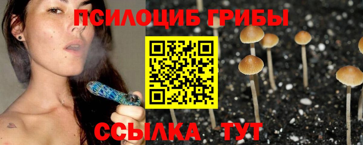 NBOMe Удомля
